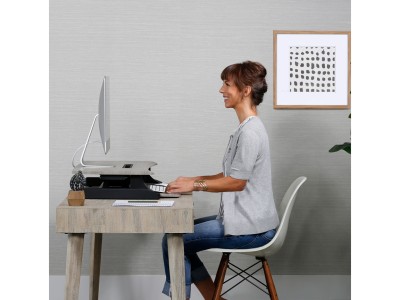 Ergotron 33-458-917 WorkFit-Z Mini Sit-Stand Desktop Workstation - Grey