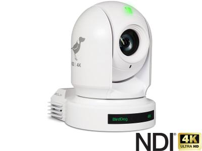 BirdDog P400 4K Full NDI® PTZ Camera with 1.25” CMOS Sensor in White - 20x