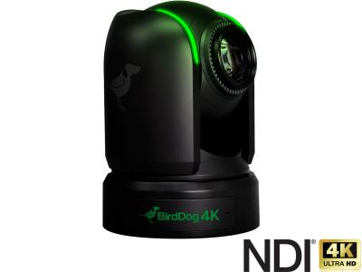BirdDog P4K 4K Full NDI® PTZ Camera with 1” Exmor R CMOS Sensor in Black - 20x