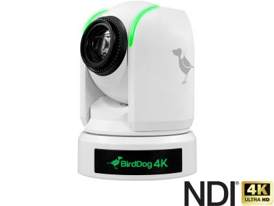 BirdDog P4K 4K Full NDI® PTZ Camera with 1” Exmor R CMOS Sensor in White - 20x