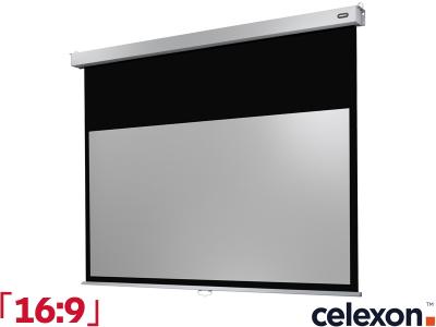Celexon Manual Professional Plus 16:9 Ratio 220 x 124cm Pull-Down Projector Screen - 1090788