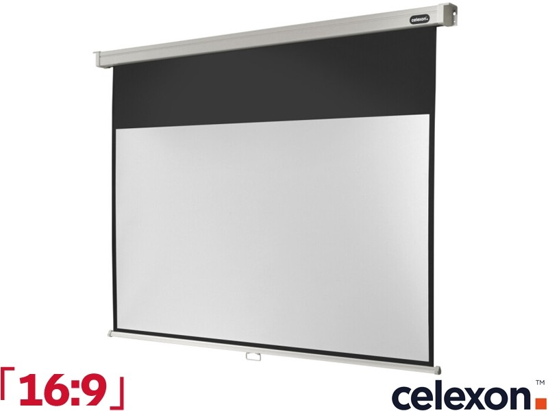Celexon Manual Professional 16:9 Ratio 194 x 109cm Pull-Down Projector Screen - 1090058