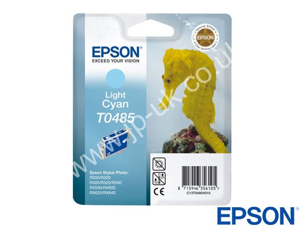Genuine Epson T04854010 / T0485 Light Cyan Ink Cartridge to fit Inkjet RX500 Printer