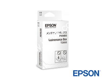 Genuine Epson C13T295000 Waste Toner Unit to fit Epson Printer