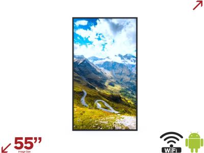 Hisense 55WF25E 55” Ultra High Brightness In-Window Digital Signage Display