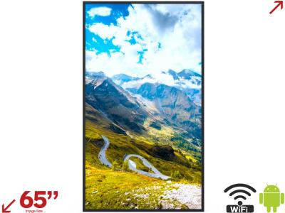 Hisense 65WF25E 65” Ultra High Brightness In-Window Digital Signage Display