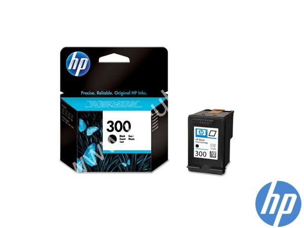 Genuine HP CC640EE / 300 Vivera Black Ink to fit Inkjet D2500 Printer