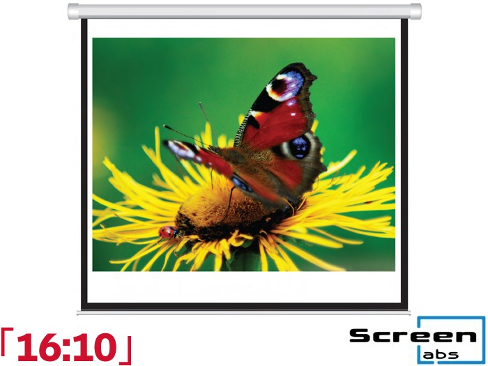 Screen Labs F-Type 16:10 Ratio 171 x 107cm Electric Projector Screen - 5079D
