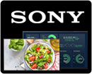 Sony Professional Displays