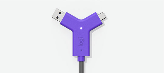Purple USB-A and USB-C Swytch Cable